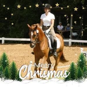 Meet your Posher, Joyce